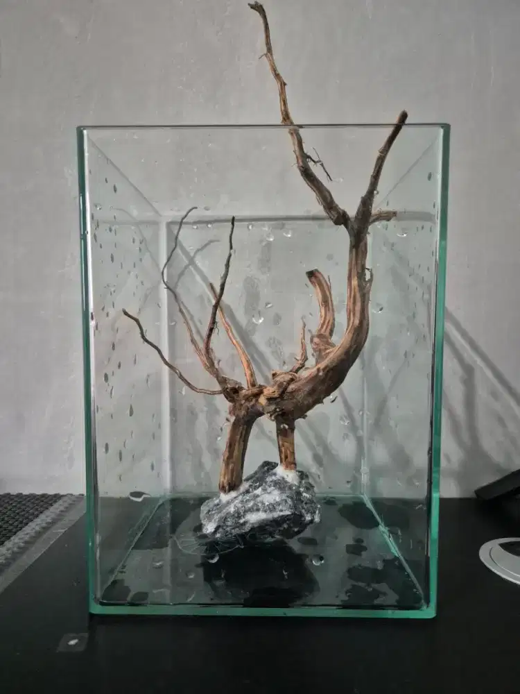 Hardscape Aquascape dan Aquarium