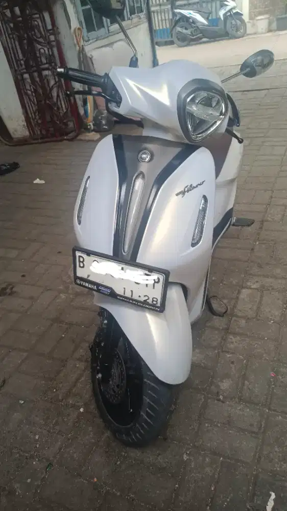 Grand filano lux 2023