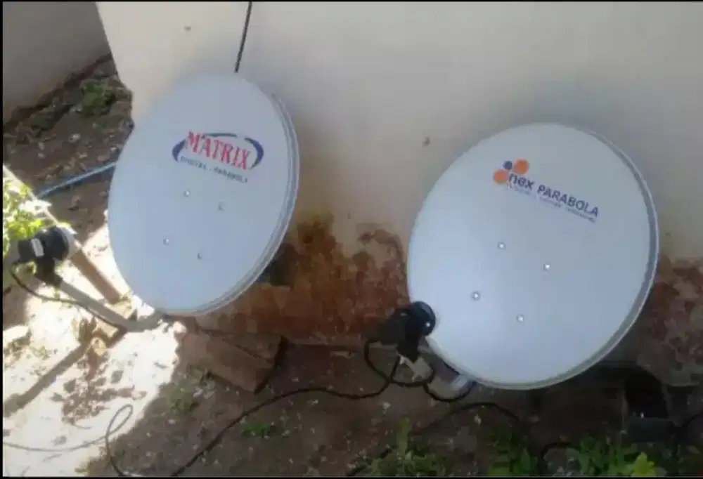 Parabola mini gratis bulanan