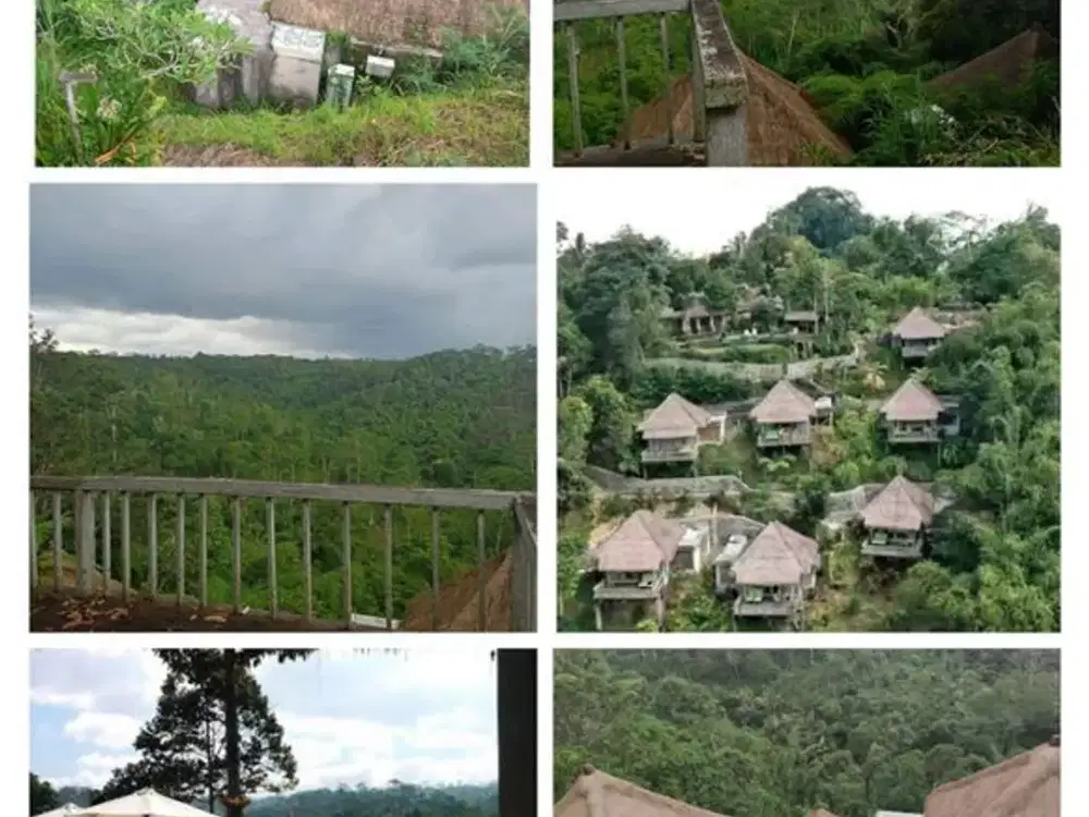 Land For Sale 80 Are Former Resort In Ubud