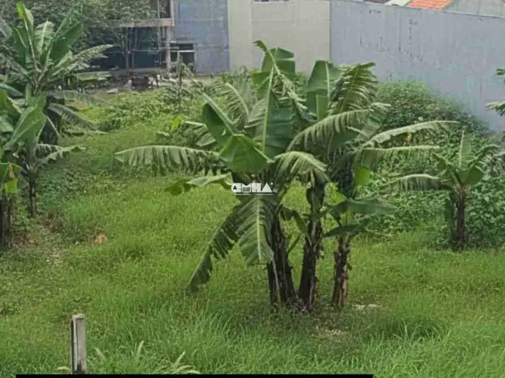 Dijual Tanah Strategis Siap Bangun Jalan BUNGA PINANG MERAH Hanya 3 Menit Kampus UNIBRAW Malang