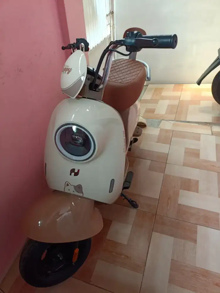 Sepeda listrik Nuv Floppy S3 power 800 watt