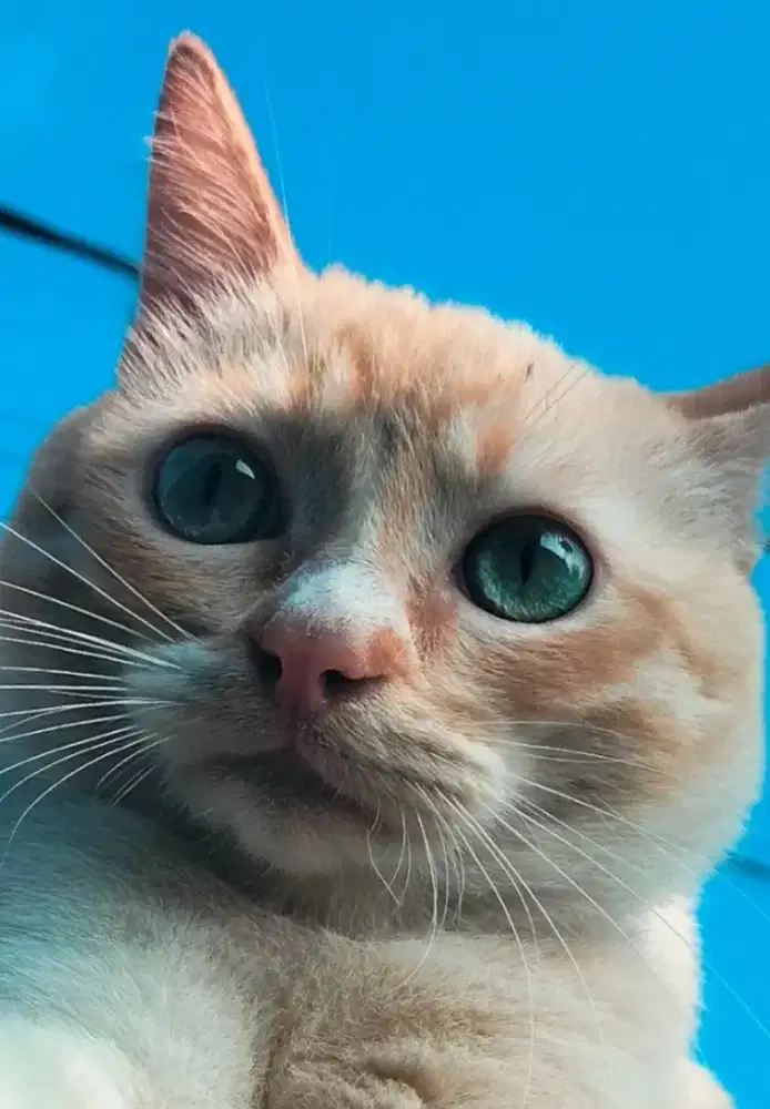 Mencari pekerjaan apa saja