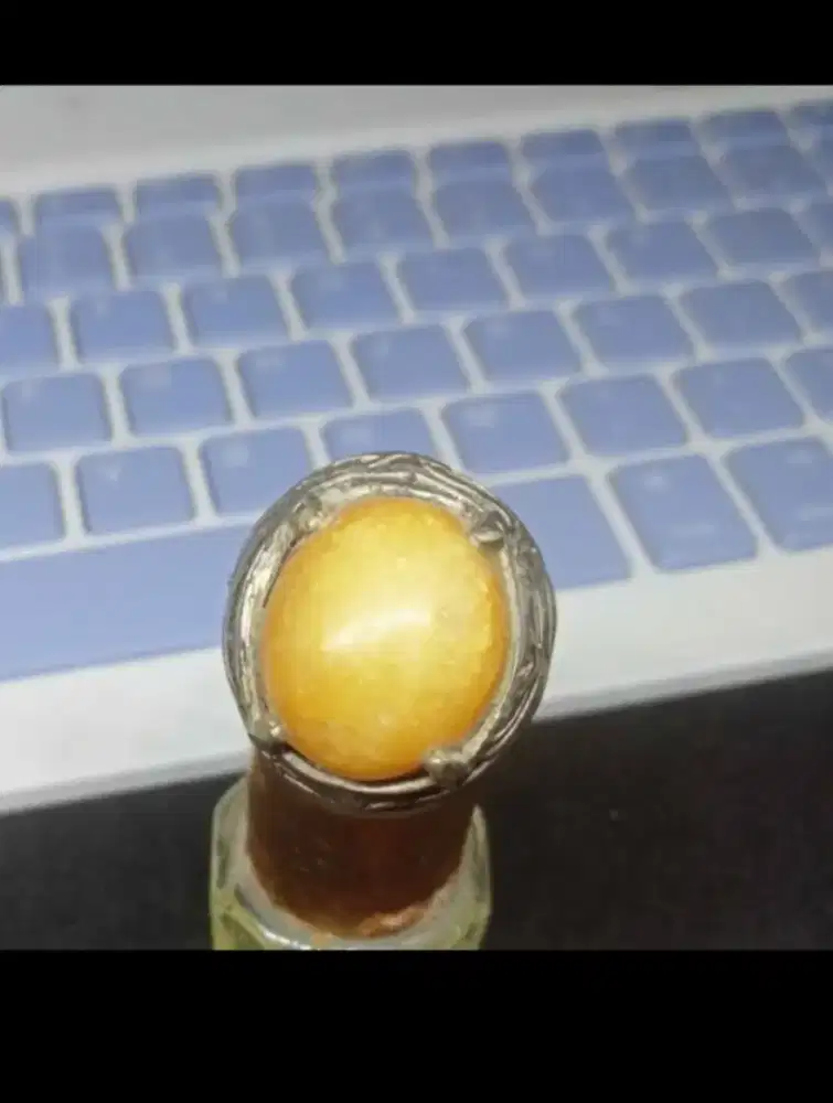 Batu akik man! gajah