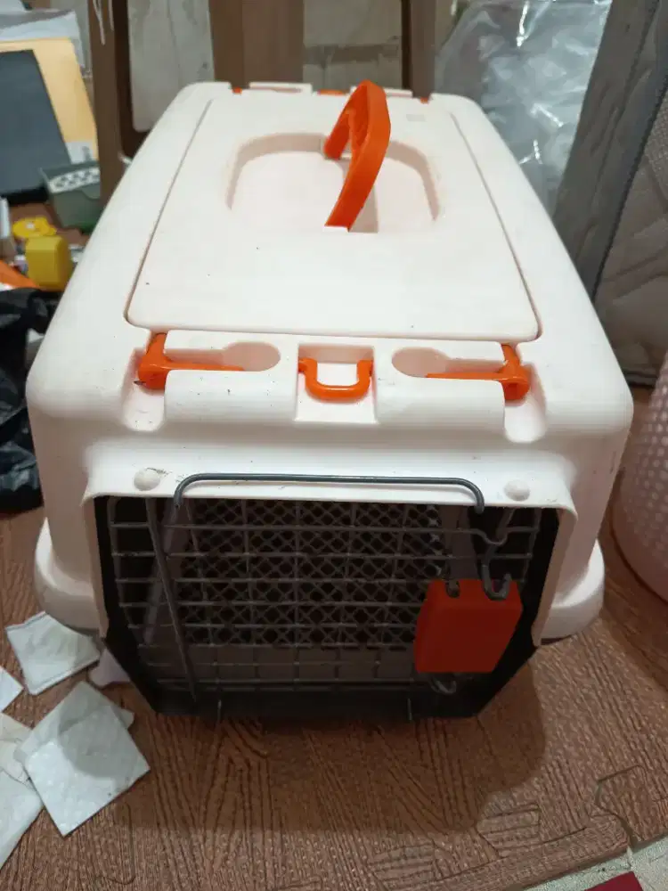 Pet Cargo Kucing Anjing Kelinci