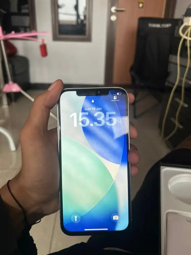 IP 12 PROMAX 256GB INTER BEACUKAI