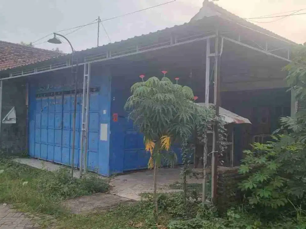 DI JUAL RUMAH 
KEL. : POJOKKULON
KEC. : KESAMBEN
KAB  : JOMBANG