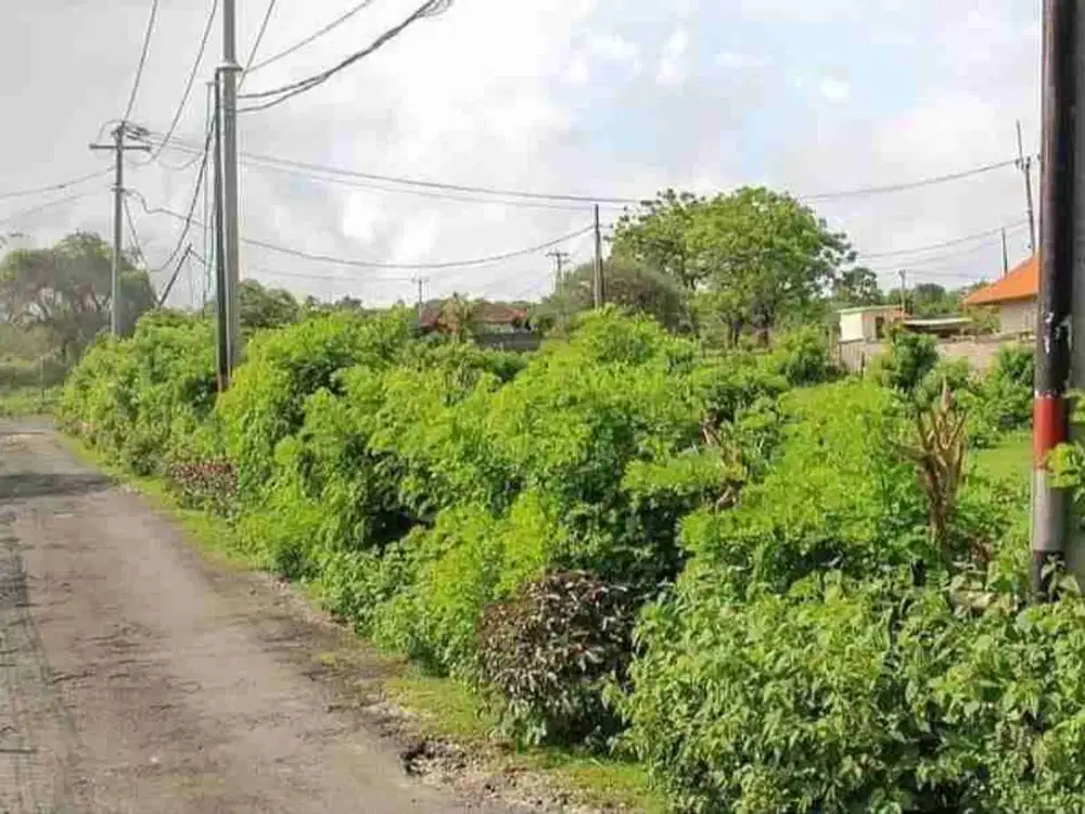 Tanah 4 Ha Los Tebing Pantai Nusa Dua View Laut