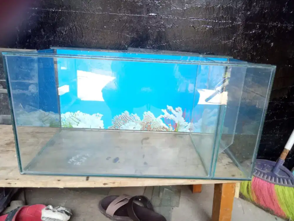 Aquarium baru 60