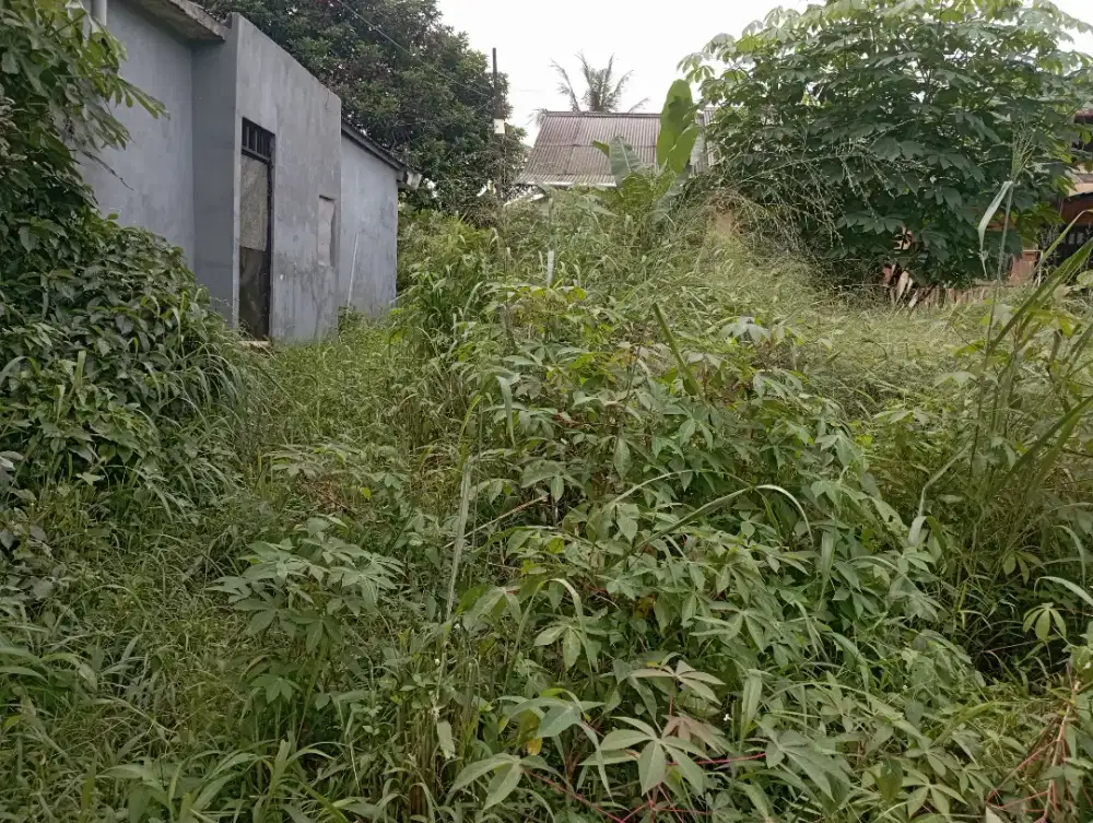 Jual tanah di jatiranggon