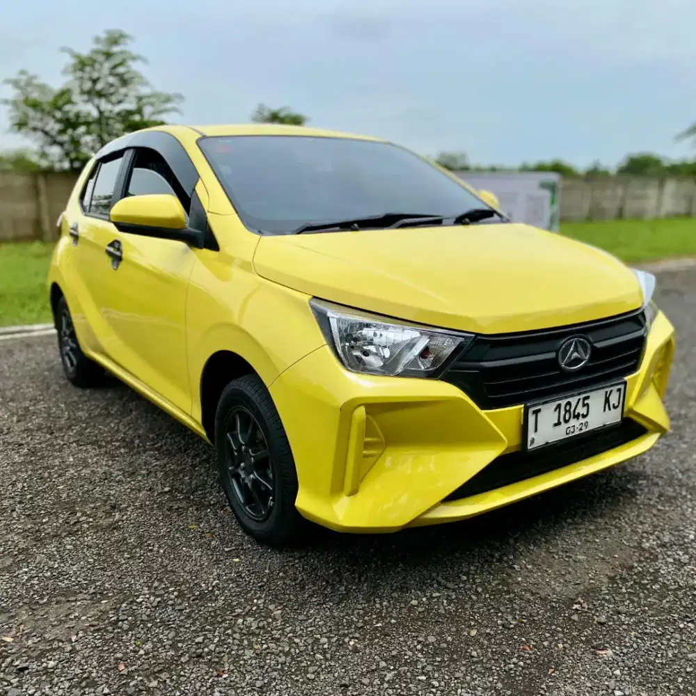 New AYLA 1.0 X Manual 2024