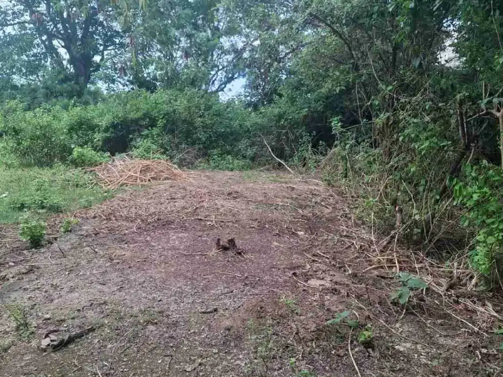 dijual tanah 15 are  IDR 375 juta per are Kawasan pantai gunung payung Kutuh Kuta Selatan Badung Bali