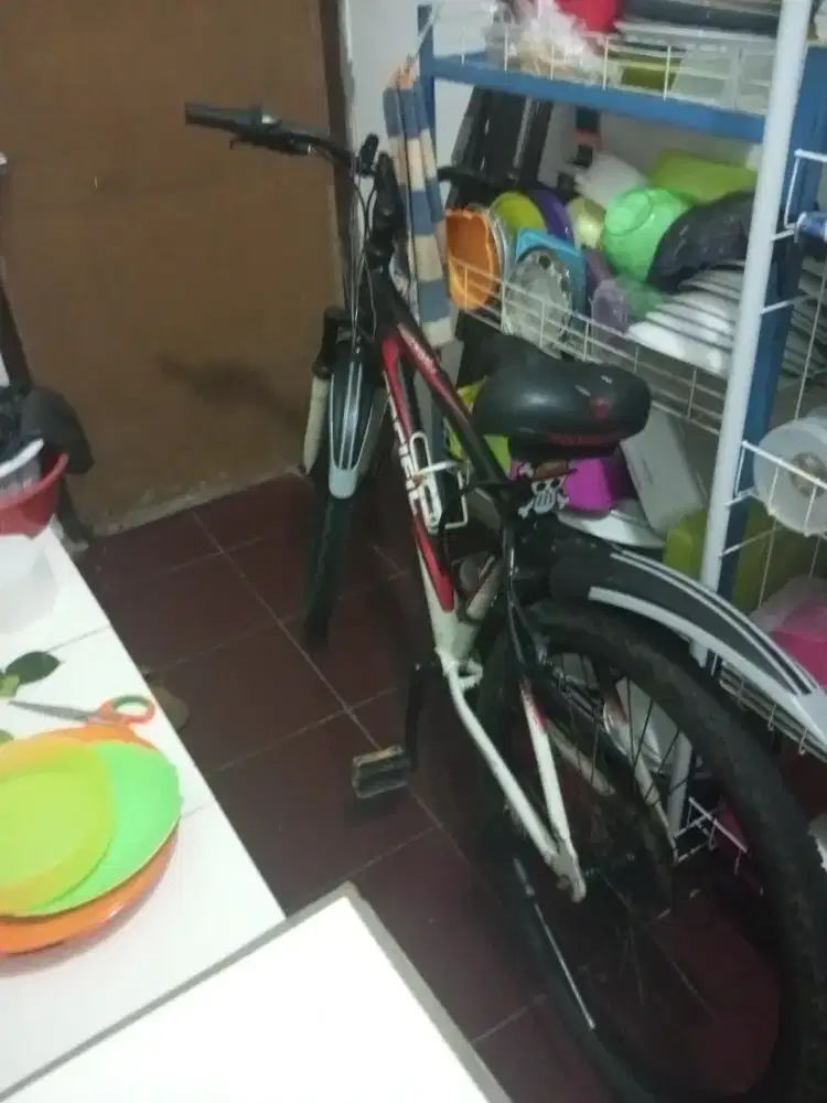 Sepedah Pacific Second