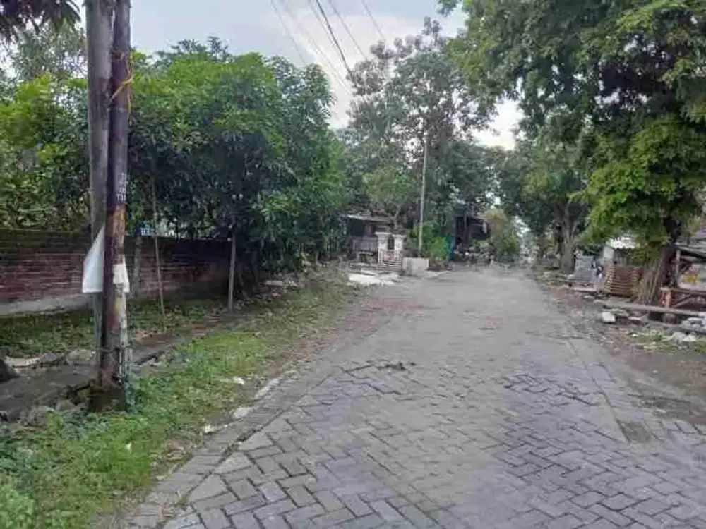 KUWUKAN LONTAR dekat Pakuwon Mall ‼️Jual Tanah Luas 474 m2 Cocok Untuk Kost atau Usaha Lain