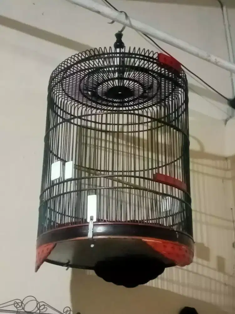 Sangkar muray no 3 D50