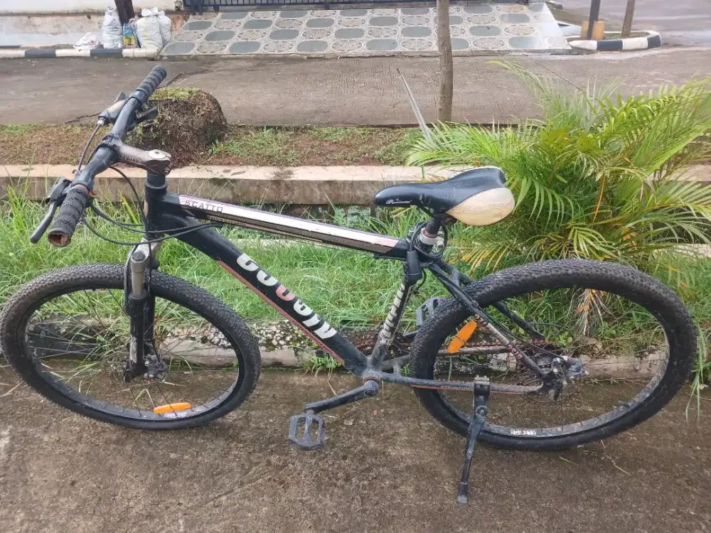 Sepeda Scatto Sepeda