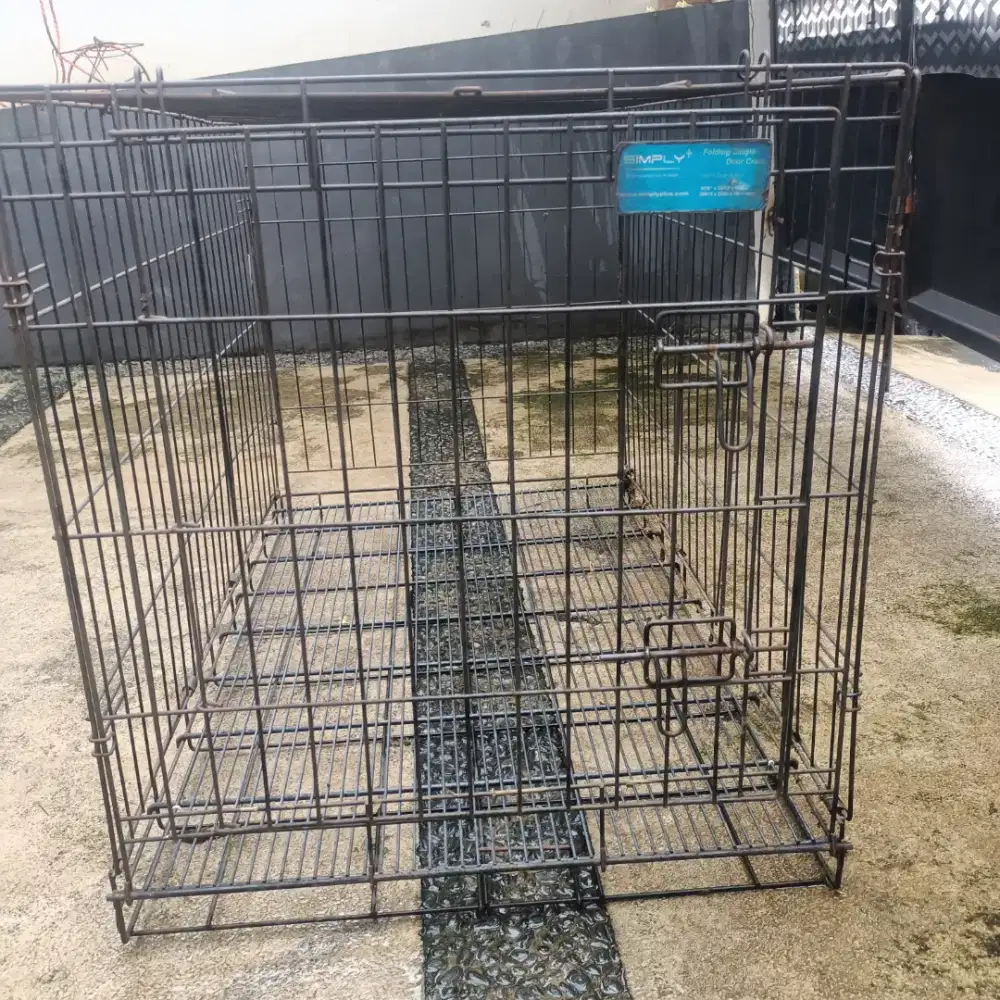 kandang kucing besar