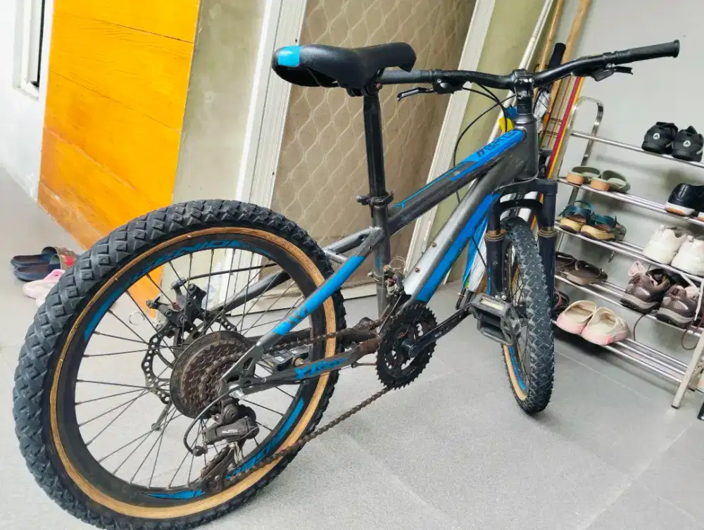 Sepeda MTB Genio 20 Inchi