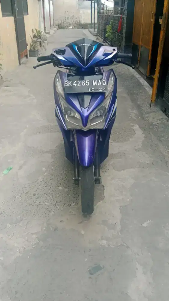 Vario KZR 2014.
