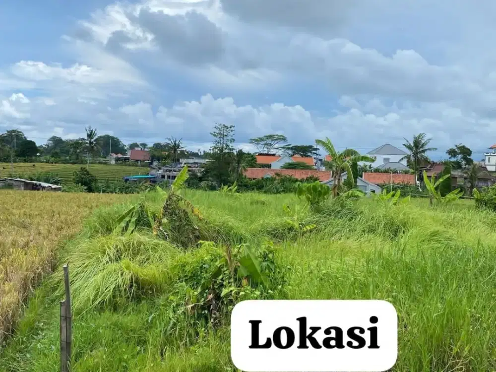 DI KONTRAKAN TANAH DEKAT PANTAI LOKASI PANTAI 5 PRERENAN