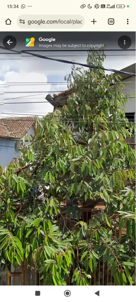 DICARI ART HARIAN BEBAS