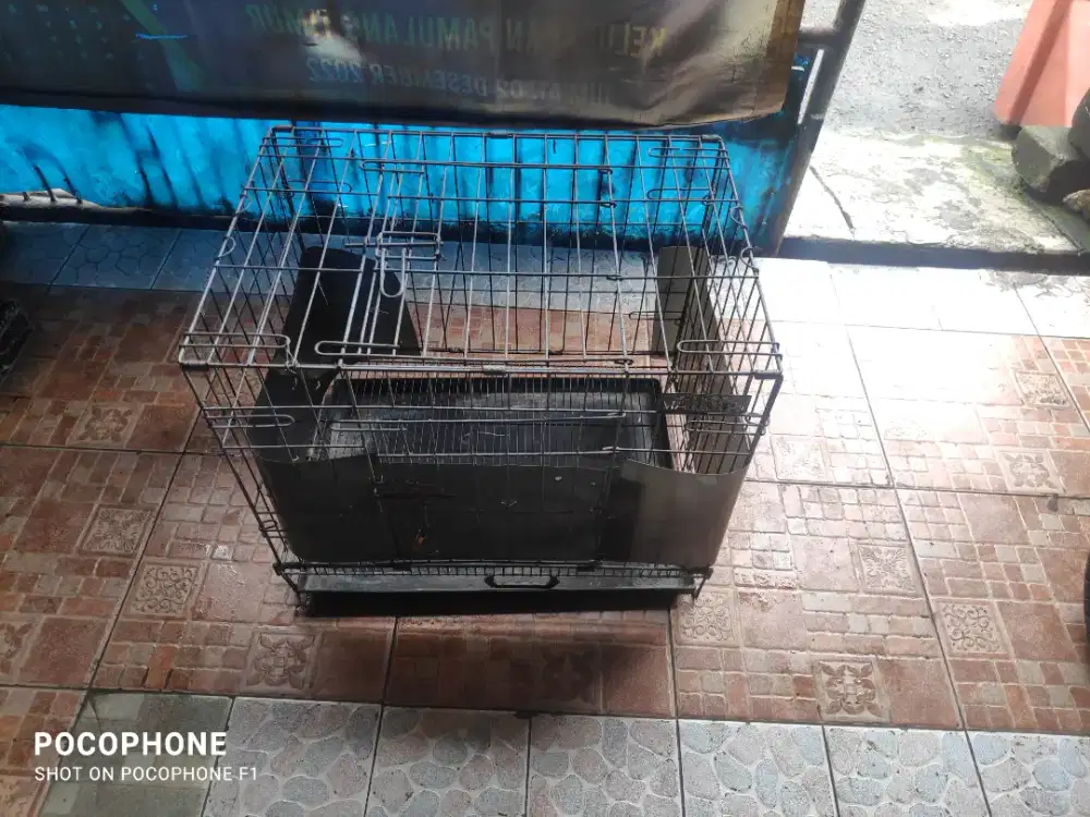 Jual kandang kucing