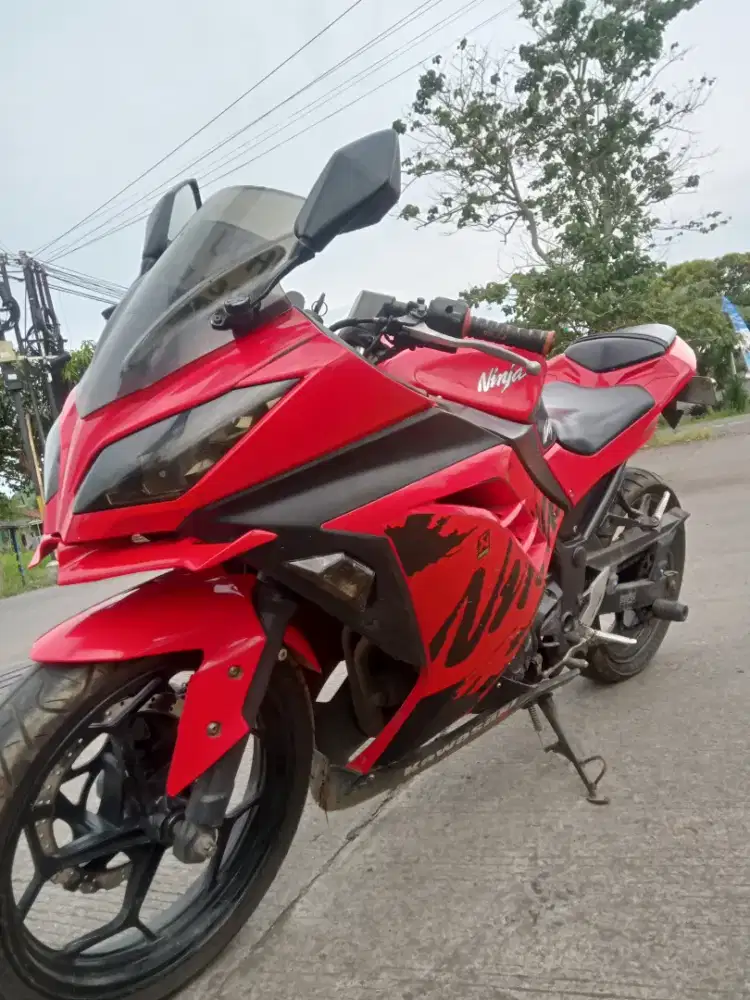 Kawasaki ninja fi 250