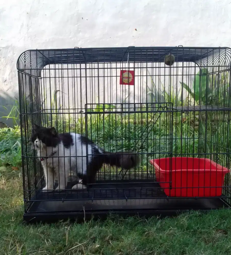 Kandang kucing/anjing merk octagon