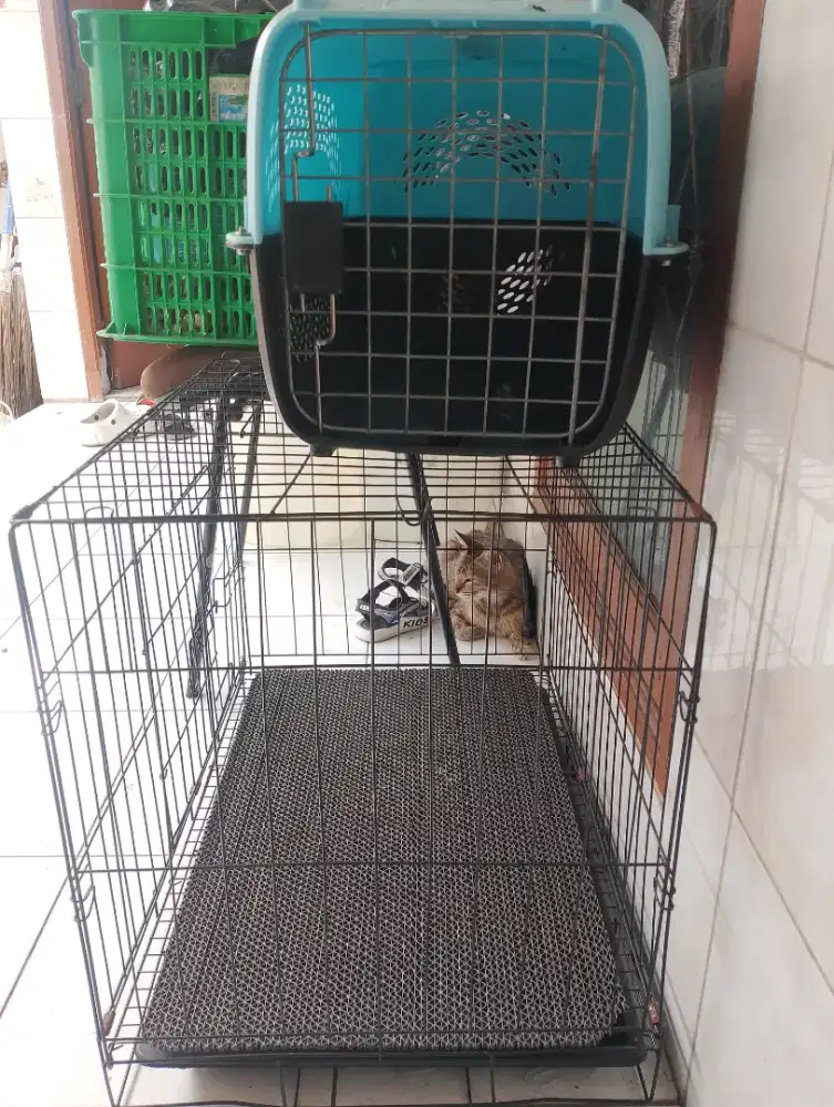 Kandang kucing bekas