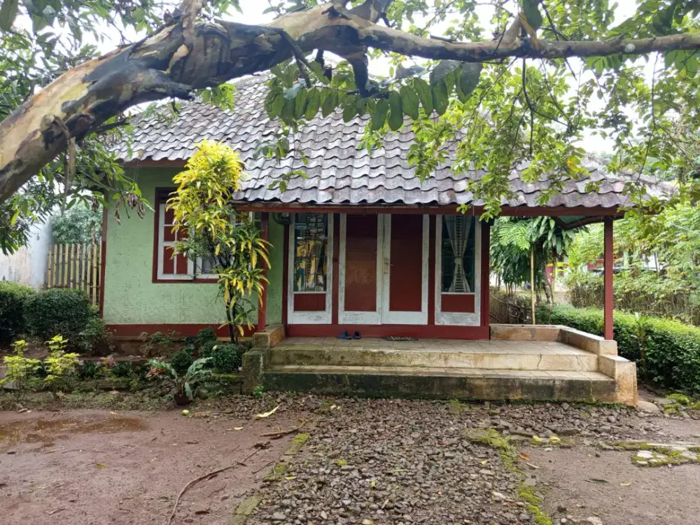 Dijual Cepat Rumah Murah Lokasi Strategis Untuk Tmpt Tinggal Dan Usaha