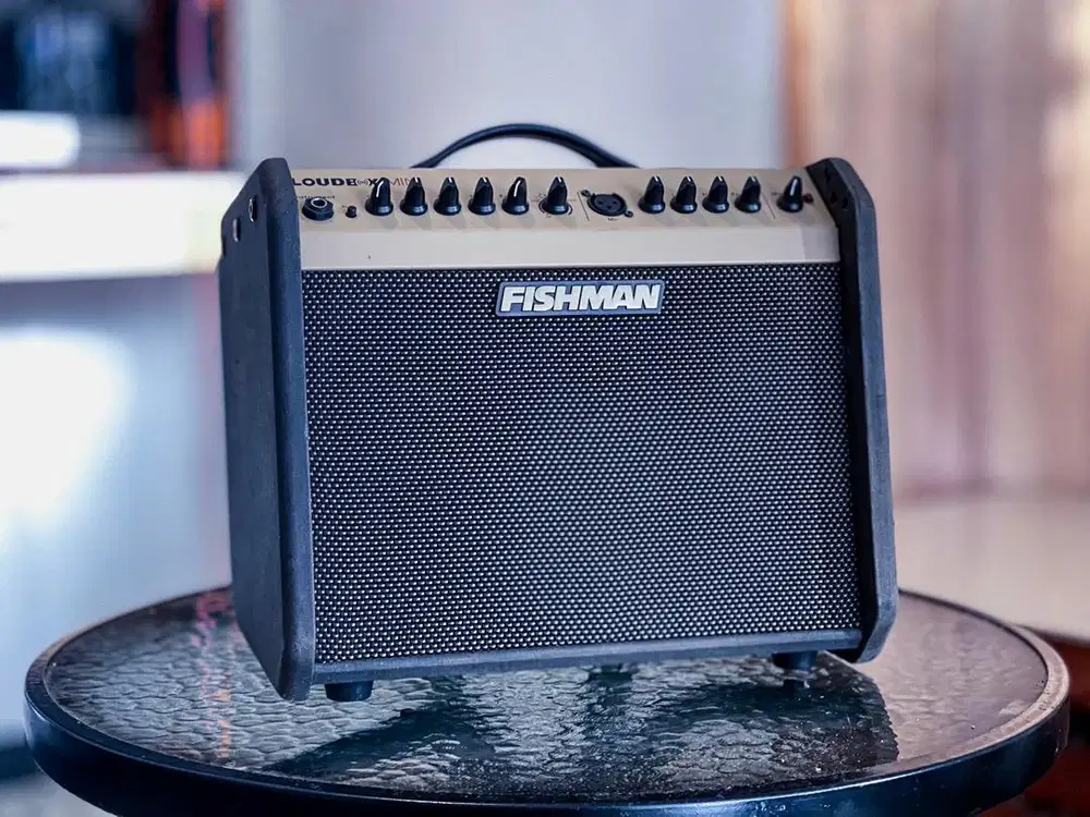 Fishman LoudBox MINI