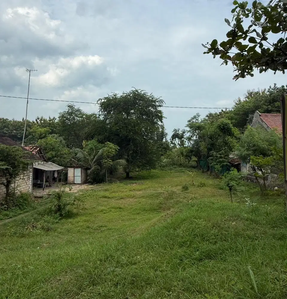 Dijual tanah raya pantura tuban