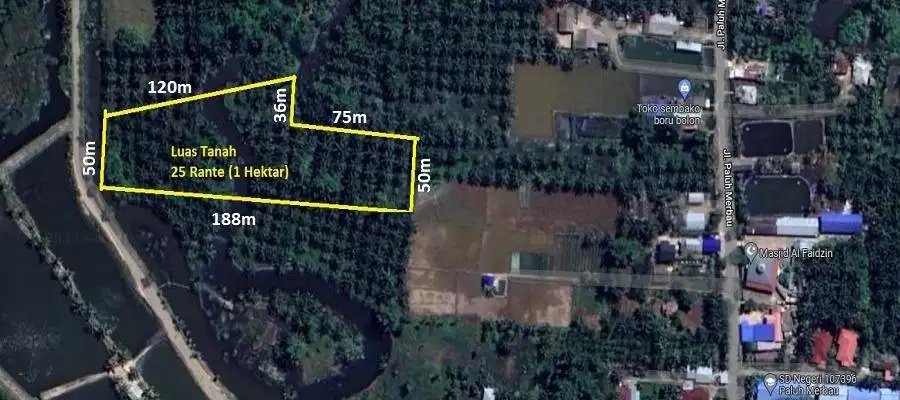 Tanah Murah Untuk Investasi 1Ha Di Paluh Merbau (Area PERCUT SEI TUAN)