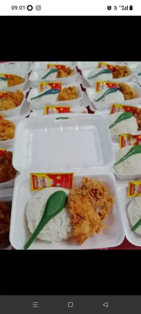 Nasi wadah sterofoam