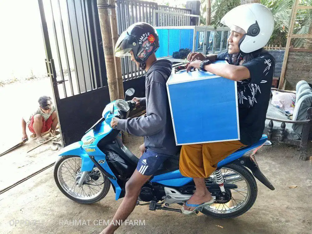 Mesin penetas telur otomatis smart incubator