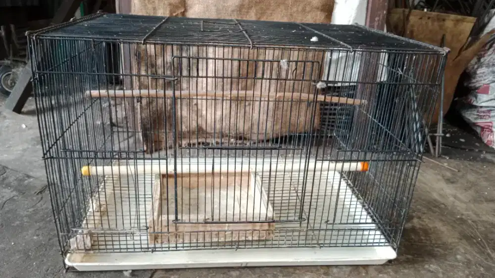 Kandang besi 60 x 40