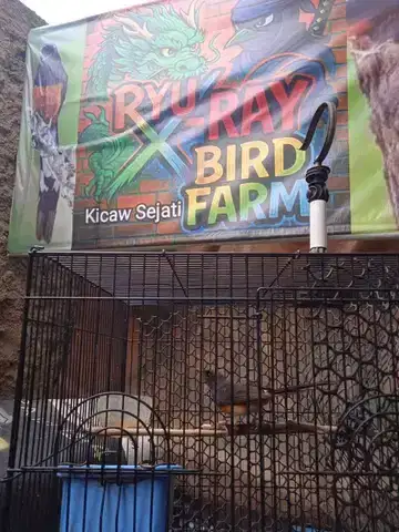 Beti Panda Sasongko Serti Brand MBRK