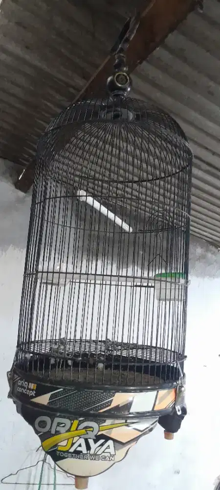 Kandang Burung Oriq Jaya