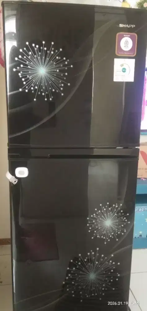 kulkas 2 pintu murah