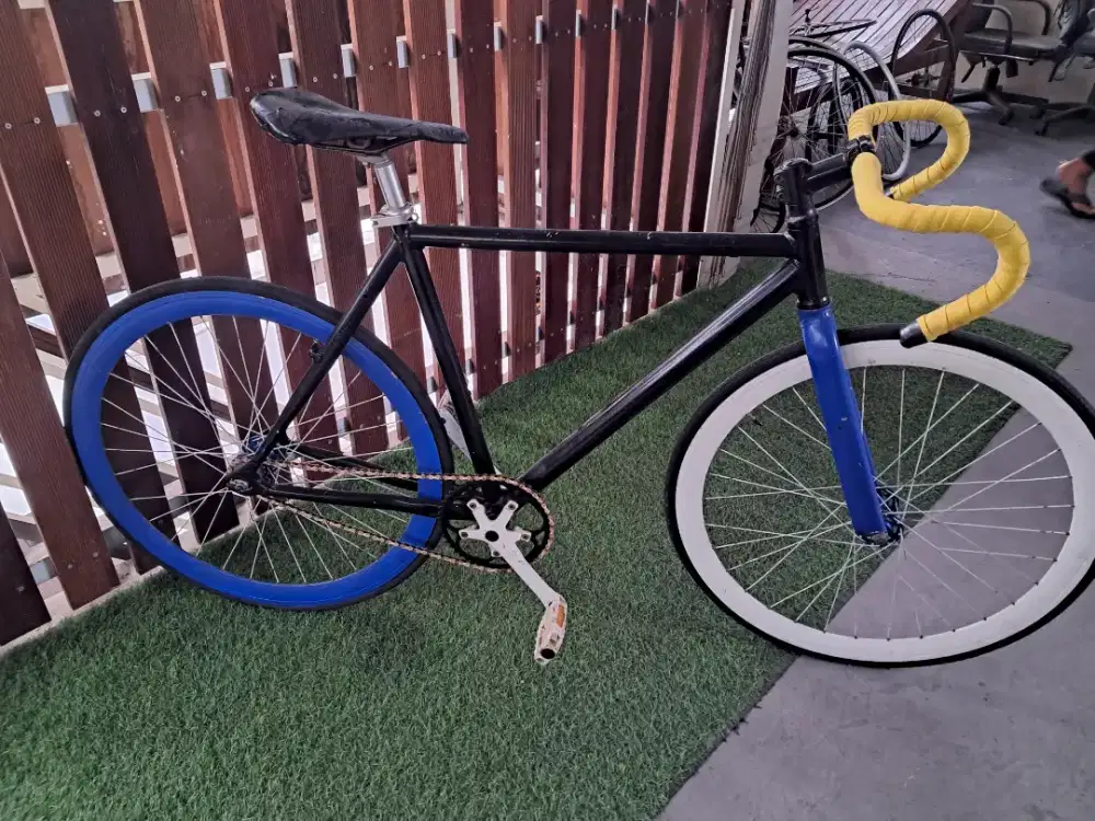 Fixed Gir Alloy Doltrap 700c