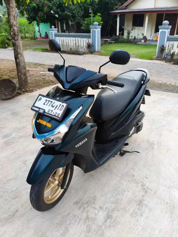 Yamaha Freego S Like New