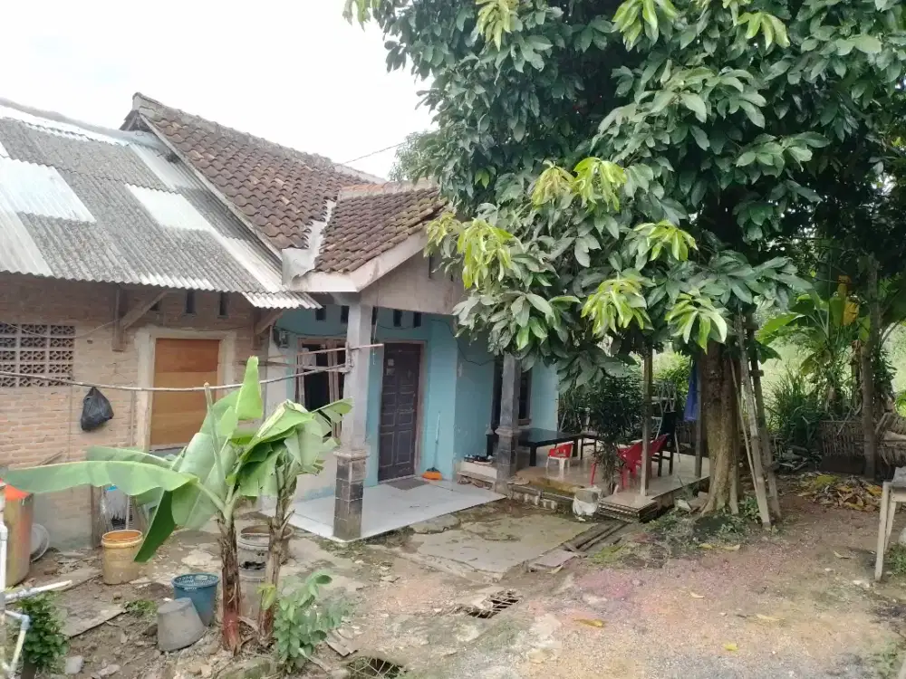Dijual cepat tanah dan bangunan