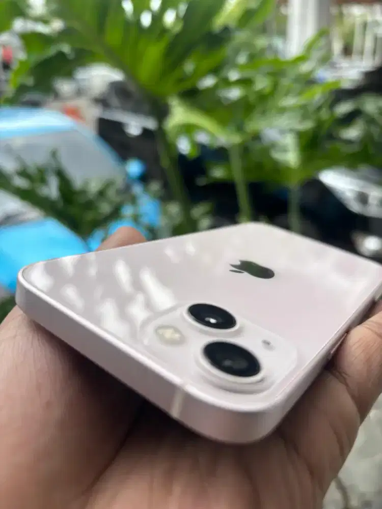 iPhone 13 basic pink 128gb internasional