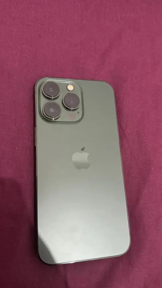 Jual Iphone 13 Pro 256 Alpine Green (Ex iBox)