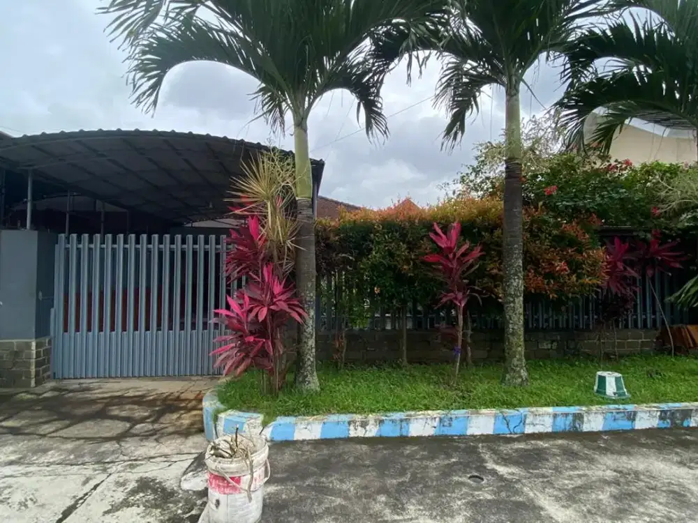 rumah area kalpataru dkt bunga melati cengger ayam bunga wijaya kusuma bunga cengkeh 5 menit ke kamapus brawijaya