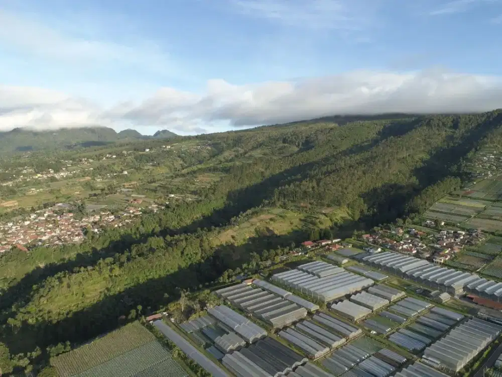 DIJUAL TANAH EKSKLUSIF DENGAN PANORAMA ALAM LEMBANG