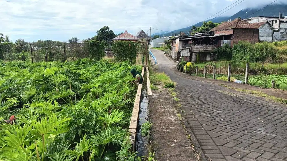 Dijual Tanah Siap Bangun Villa/Cafe/Kebun Petik di Kota Wisata Batu