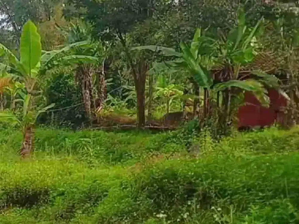 DI JUAL TANAH NON PERTANIAN KAWASAN VILLA JALUR PENDAKIAN PENANGGUNGAN TRAWAS