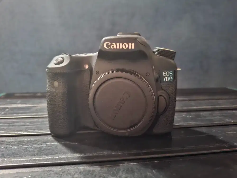 Canon 70D bekas (second)