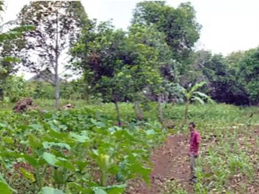 Kavling di Perintis Kemerdekaan